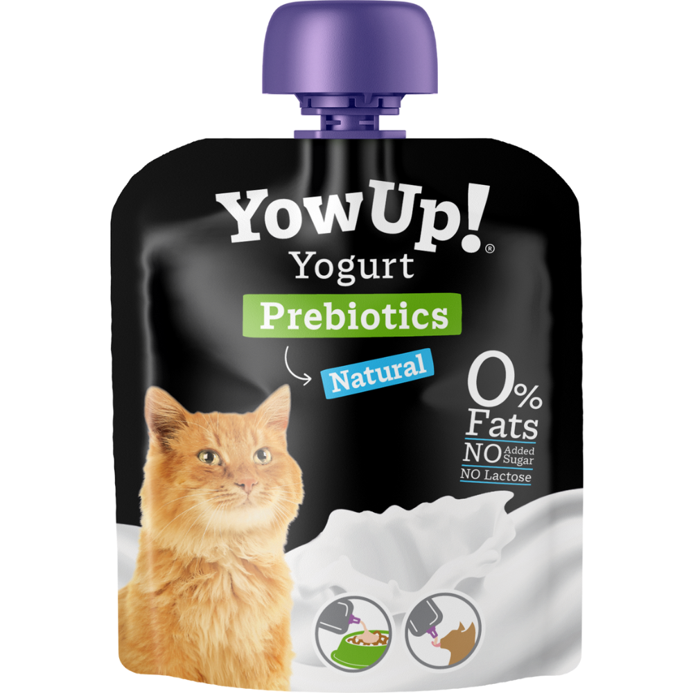yogur prebiotico para gato